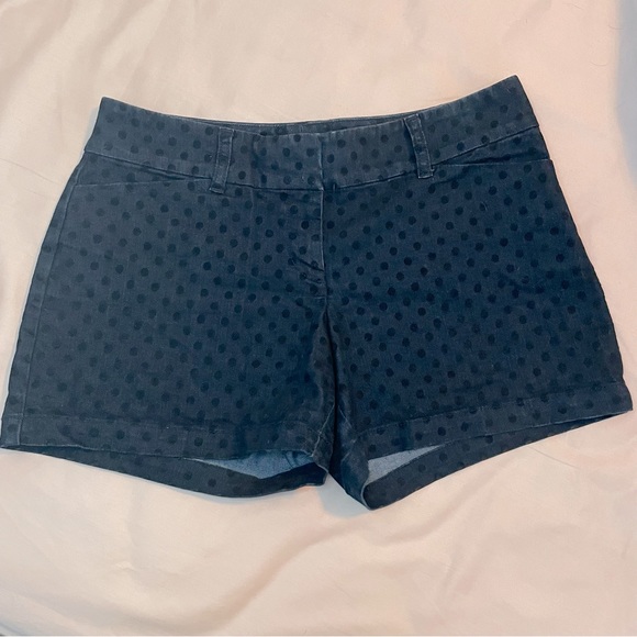 NWOT The Limited Flocked Polka Dot Shorts - Picture 1 of 14